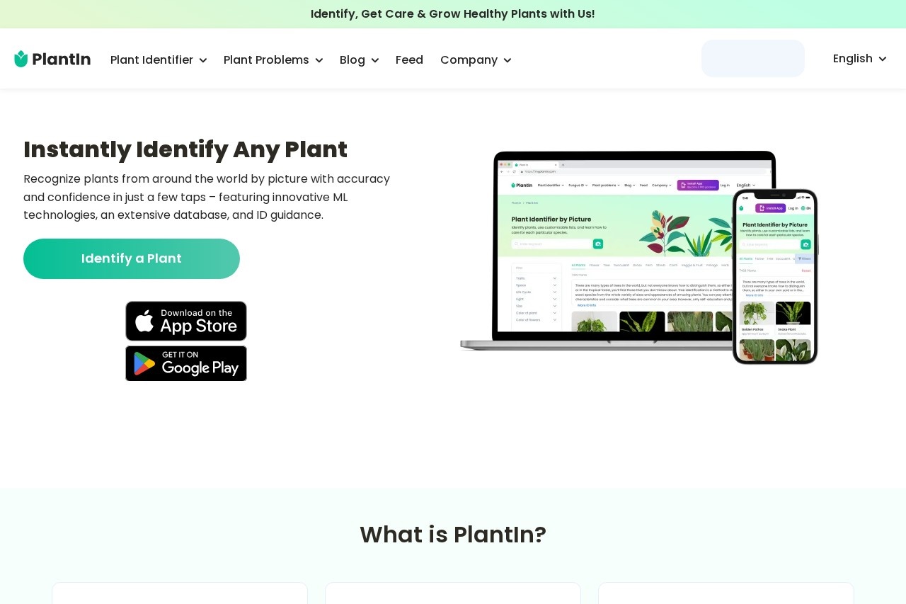 PlantIn screenshot