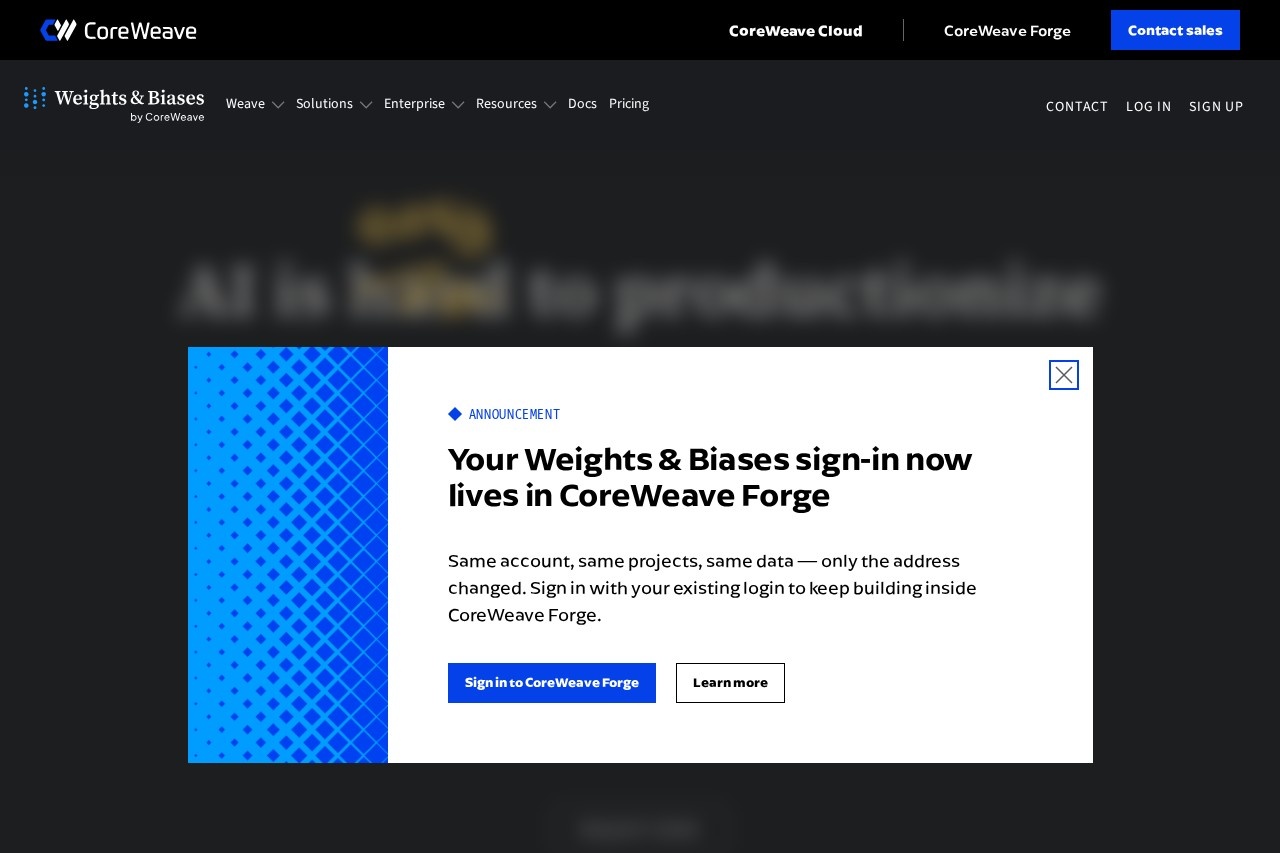 Weights & Biases screenshot