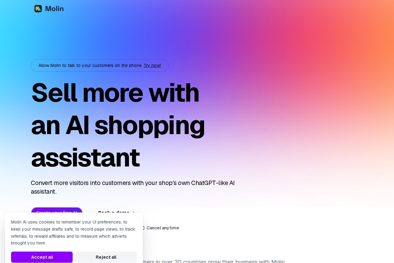 Molin AI screenshot