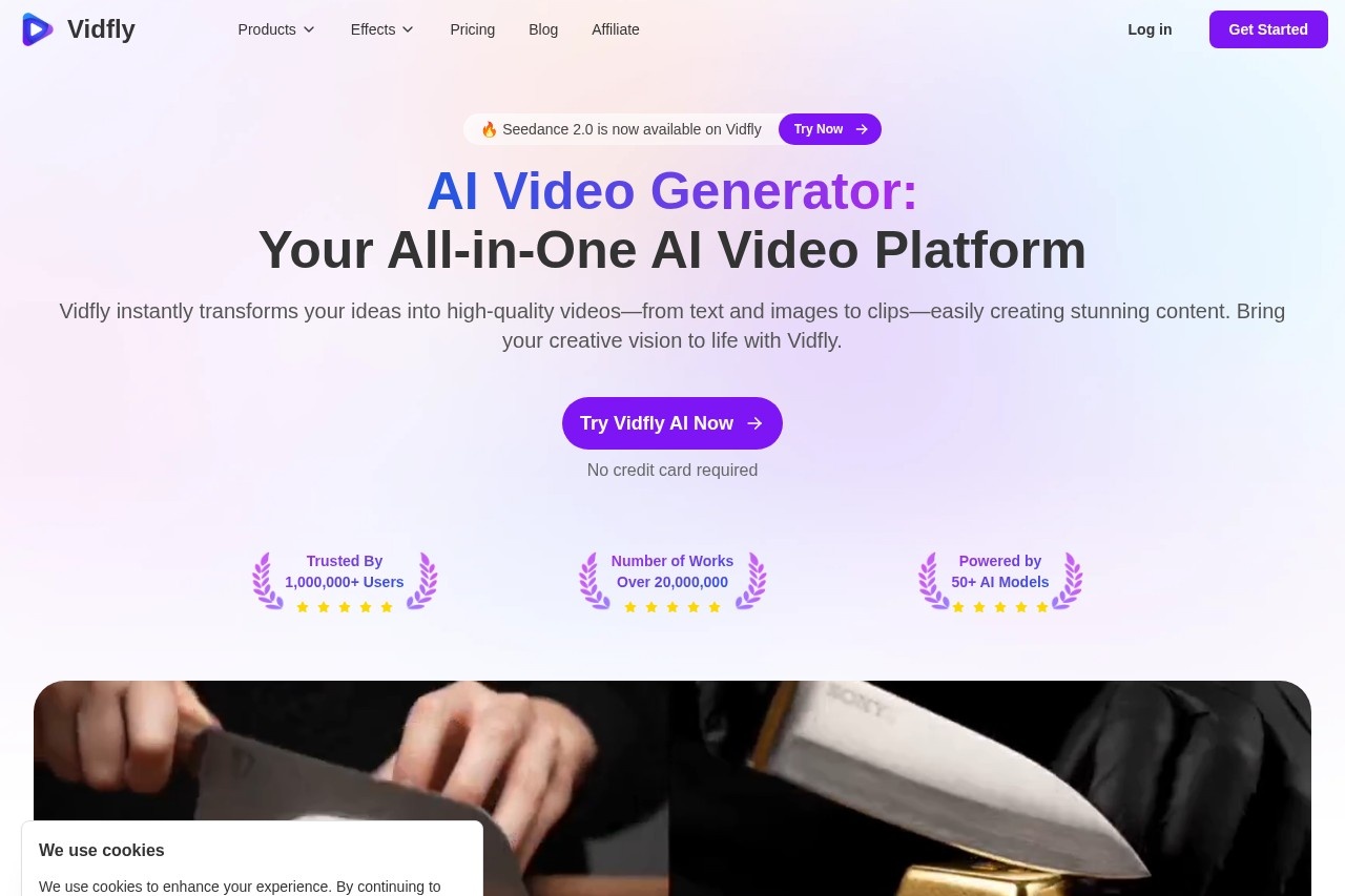 Vidfly screenshot