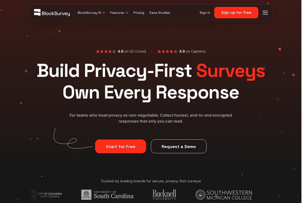 BlockSurvey 截图