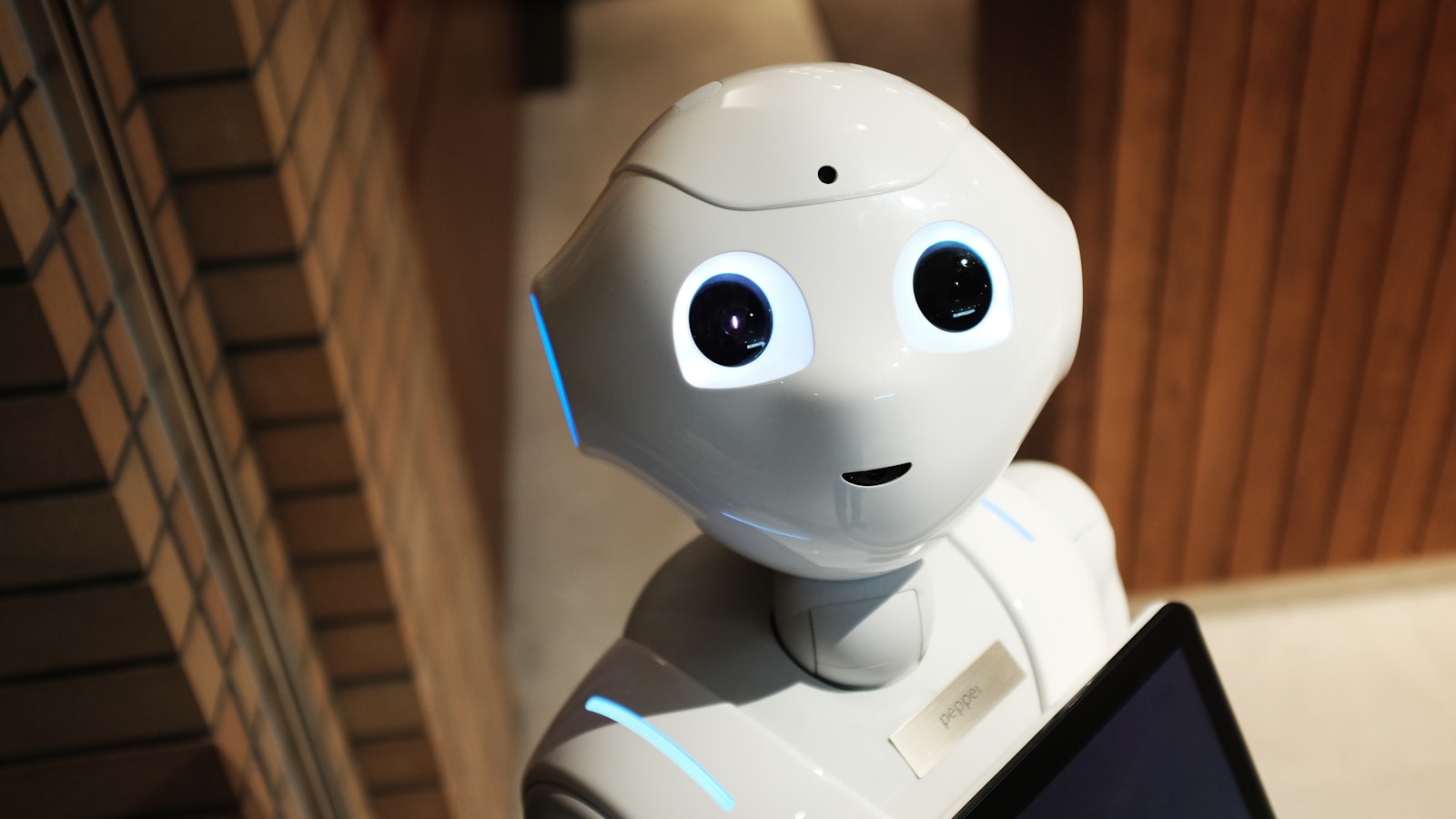 The Humanoid Robot Boom: Capital, Industry, and the Future of Work