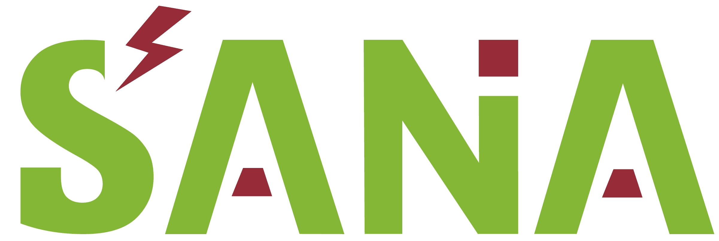 Sana Documentation - High-Quality Diffusion Models