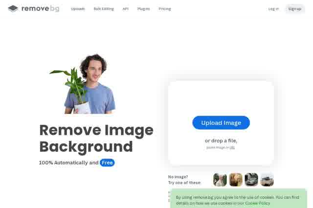 Remove Background from Image for Free – remove.bg 截图